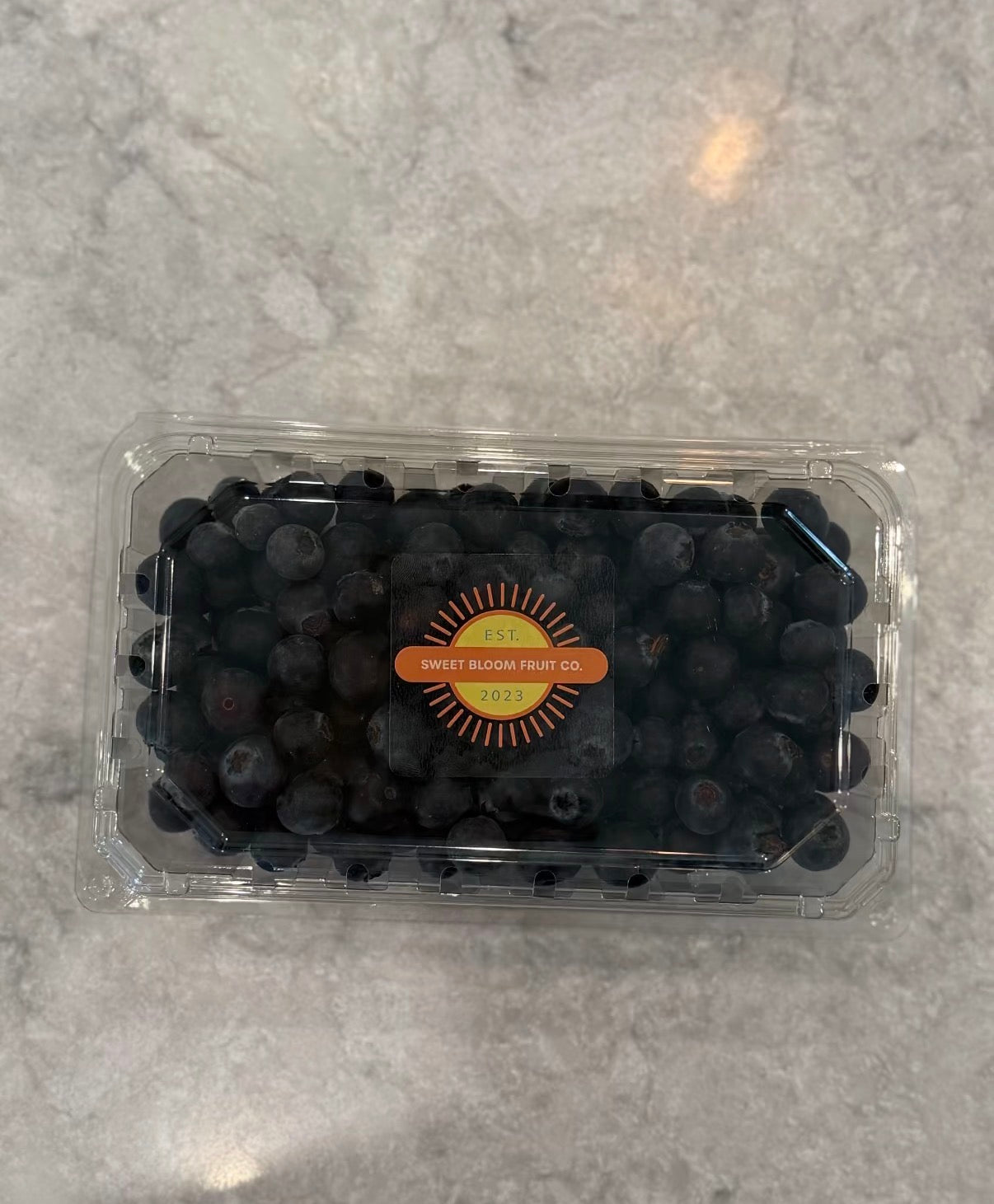 Organic Blueberries 1 Pint