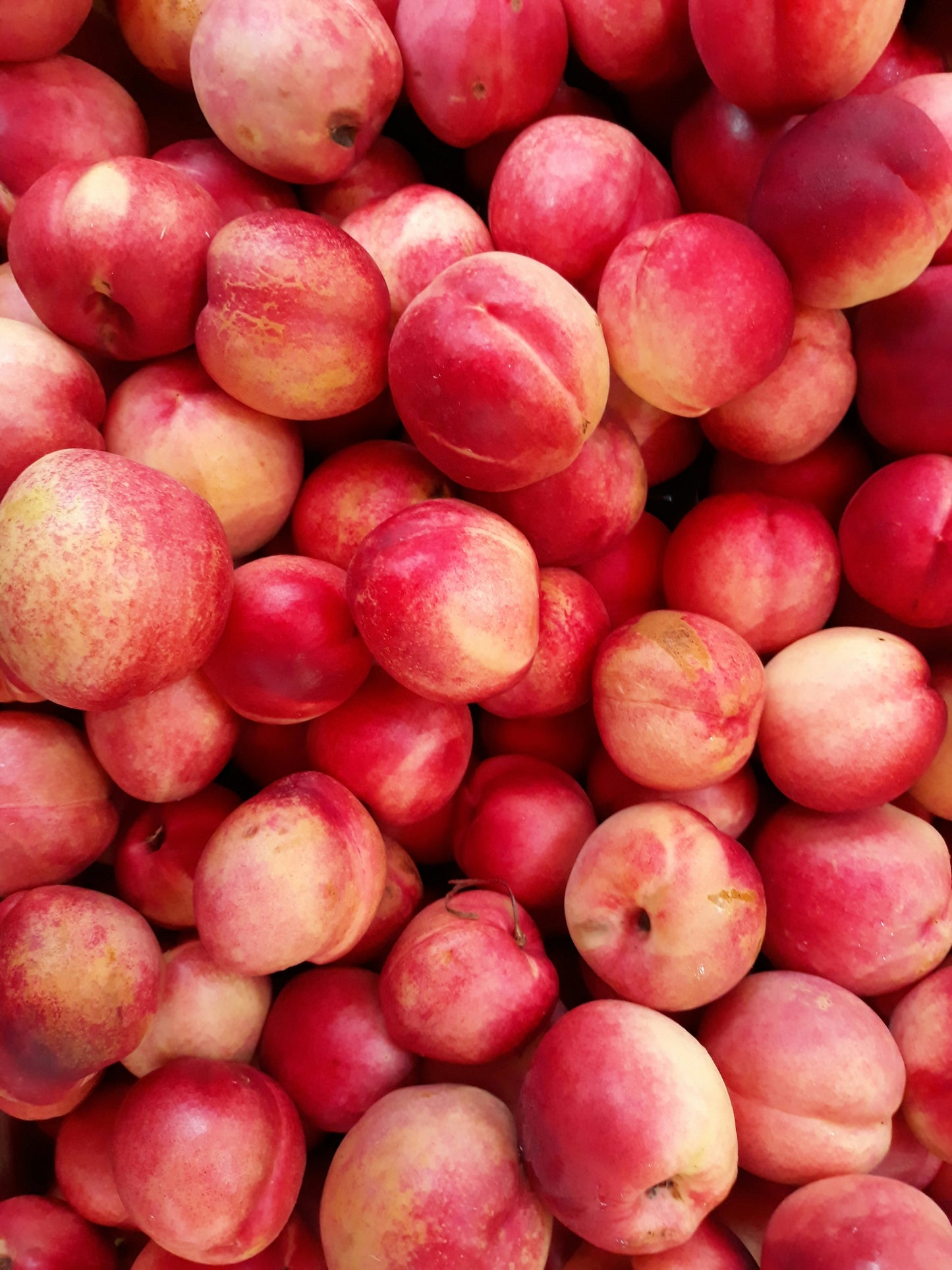 White Nectarine 3lbs